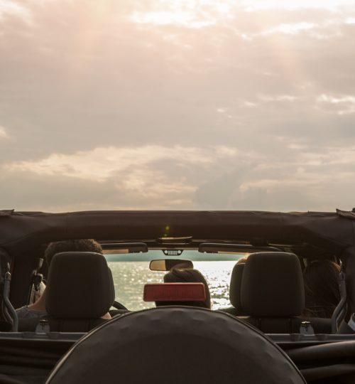 Bck view of a group of young friends sitting in a car and looking at the sea