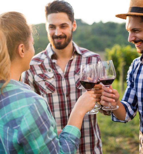 Happy wine tourists tasting wine in vineyard