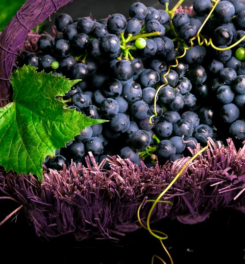 Red wine grapes in voiolet basket on bllack background