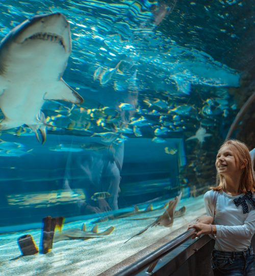 Mother and daughter standing outstretched against aquarium glass looking at the fishes, fascinated by the shark.