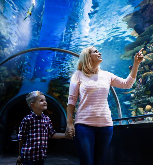 Family watchig fishes at a big aquarium