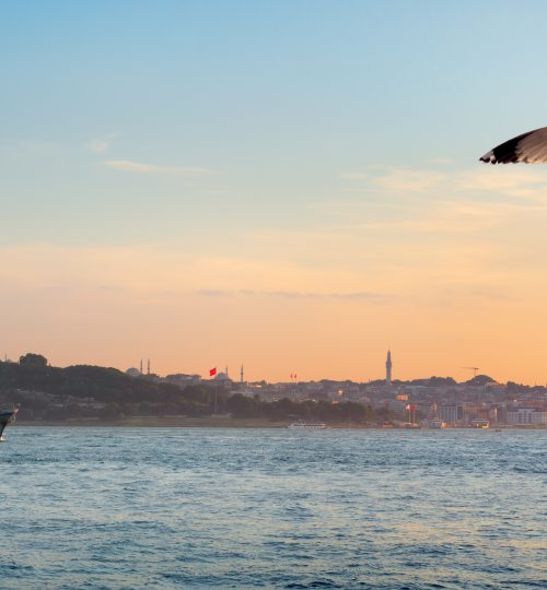 View on Maiden Tower in the sea of Istanbul, Turkey