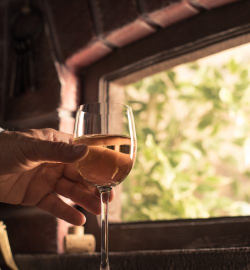 Expert farmer and wine maker tasting a glass of delicious white wine in the wine cellar and lush vineyard on the background