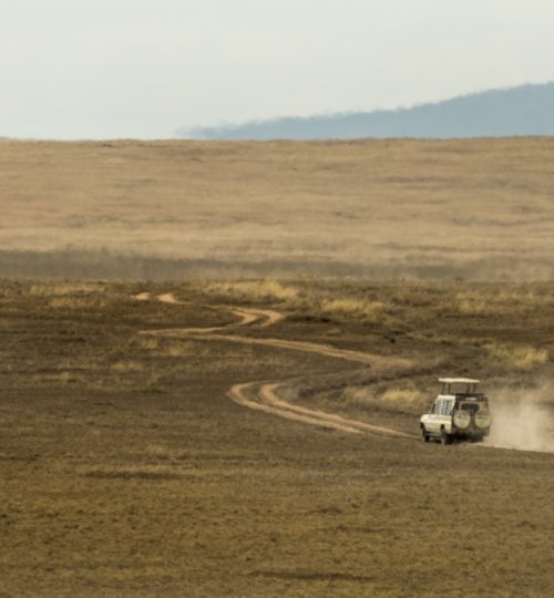 Safari jeeps crossing Serengeti, Tanzania, Africa